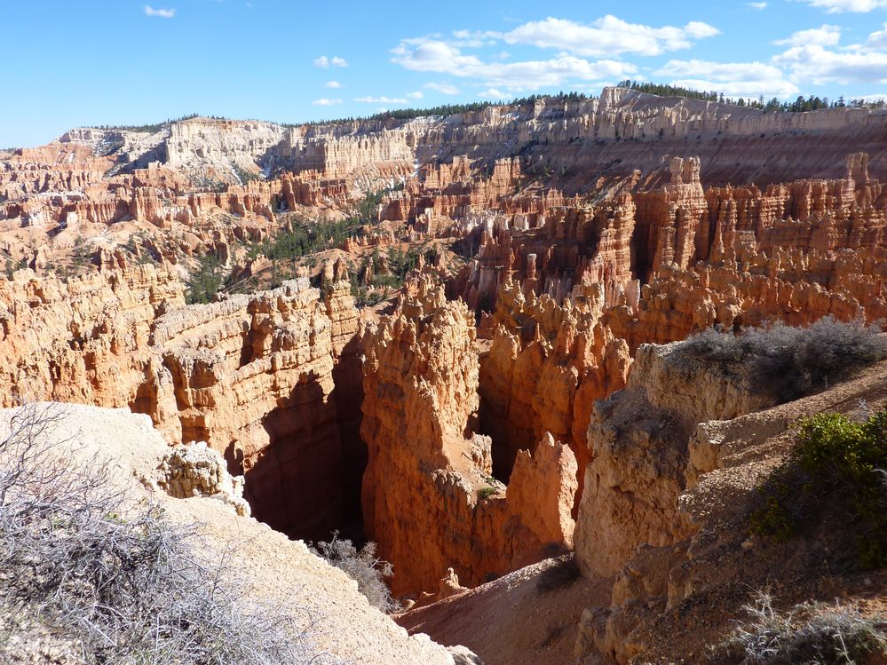 bryce canyon (214).JPG